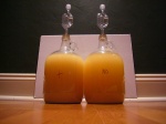 Mead Experiment