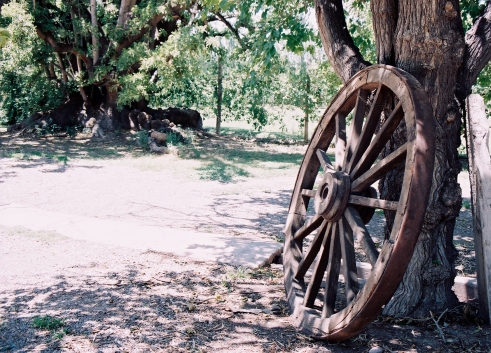 Wooden wheel at the winery, Vina Maria